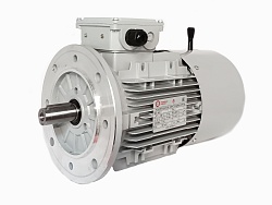 Электродвигатель АИС80A-4-Е 0.55kW F IP55 V220/380/50