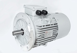 Электродвигатель АИС132S-4-Е 5.5kW F IP55 V380/660/50