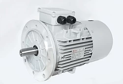 Электродвигатель АИС132MB-2-Е 11kW F IP55 V380/660/50
