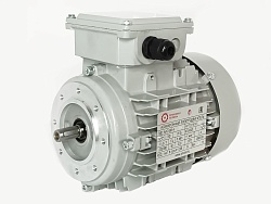 Электродвигатель АИС63A-2 0.18kW F IP55 V220/380/50